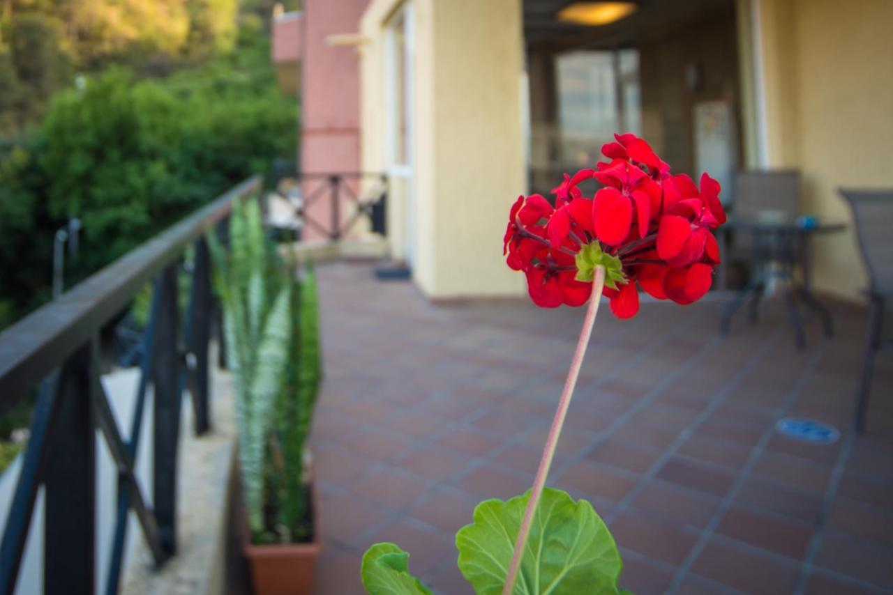 Hotel Terrace House Tbilisi Exteriér fotografie